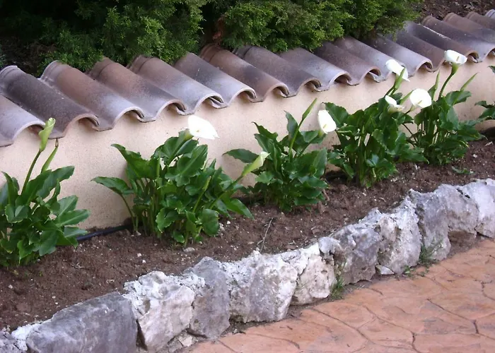 Bed & Breakfast Benice Morino